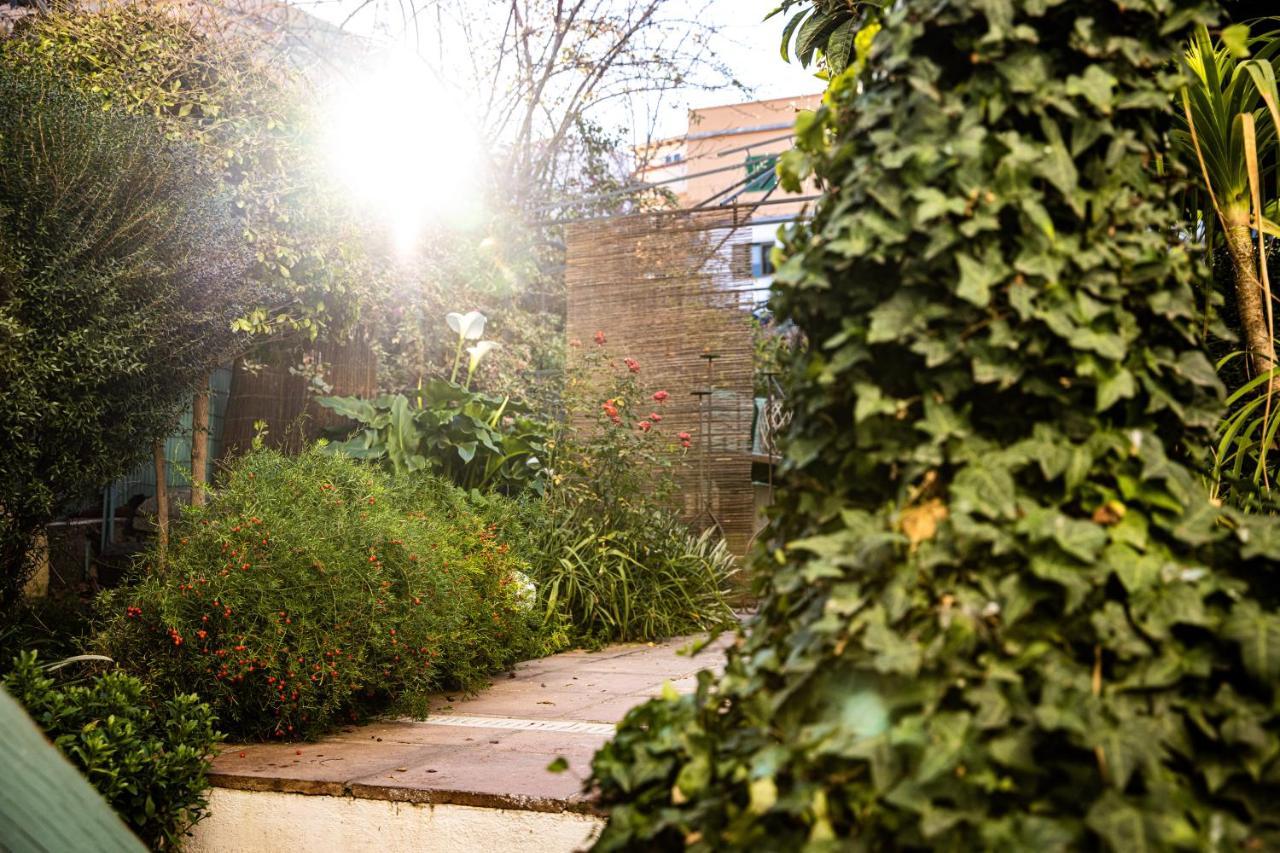The Lemon Tree Apartment Vilaflor Exterior photo